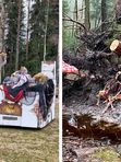 Эксклюзивный ретрит в Конном парке