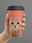 Моли Хуа Ча 450 мл (заваривается в саше)