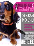 Проживание в гостинице  Собака