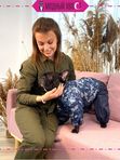 Одежда для домашних животных