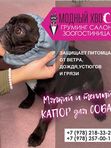 Одежда для домашних животных