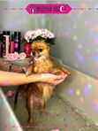 SPA-процедуры с озонотерапией