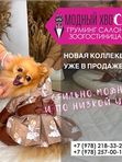 Одежда для домашних животных