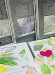 Постельное белье из коллекции Valencia перкаль