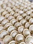 Pelmeni "Klasićni"