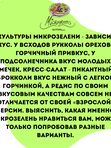 🔥СПЕЦпредложение🔥