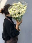 Опт Матрикария (ромашка)