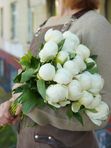 Пион белый. Цена за штуку
