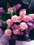 КАСКО для всех видов автотранспорта