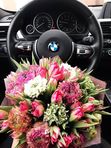 КАСКО для всех видов автотранспорта