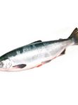 ❗31 июля ❗    🐟 – НЕРКА 2026 потрошеная без головы свежемороженная, морская, Владивосток.  . 🛒Цена: 1100₽/кг.