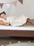 Мягкая кровать Askona Boo 160*080