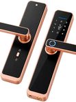 Дверной замок WIFI Ps-Link X2 / Бронза