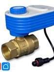 Шаровый кран Ps-Link QT06-20W