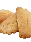 Ракушка