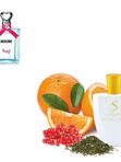 М4  схож с Moschino Funny! MOSCHINO