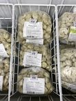 ПЕЛЬМЕШКИ И СЫРНИКИ ИЗ КОНДАРТОВО/ПЕЛЬМЕШКИ С ИНДЕЙКОЙ ИЗ КУНГУРА/ПЕЛЬМЕШКИ И КОТЛЕТЫ ИЗ НЫТВЫ