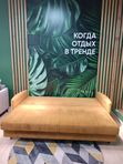Диван-кровать Квина-Тк. Casanova Mustard