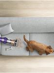 Dyson V10 ANIMAL 🐶