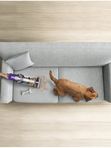 Dyson V10 Absolute