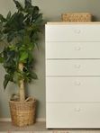 Comoda Linia