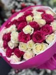 51 нежная роза в упаковке. Эквадор 50см