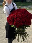 101 красная роза.Эквадор 70см