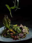Салат свежий/The salad is fresh
