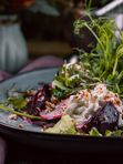 Свекольный салат с сыром страчателла / Beetroot salad with stracatella cheese