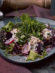 Свекольный салат с сыром страчателла / Beetroot salad with stracatella cheese