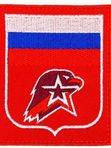 Шевроны Юнармия