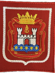 Шевроны Юнармия