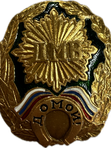 значки "ДМБ"