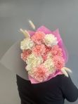 15 нежных гвоздик в моно букете