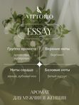 Essay