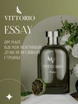 Essay
