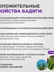 Гель от синяков и отёков СПАСАТЕЛЬ