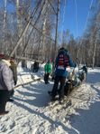 Дневное посещение "Весёлой фермы"