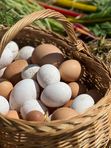 Яйца пастбищные Куриные диетические, 1 дес