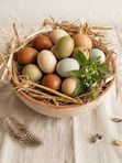 Яйца пастбищные Куриные цветные Пасхальные десяток, 1 дес
