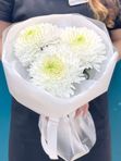 Букет белых хризантем