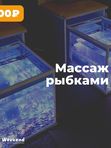 Массаж рыбками, 15 минут