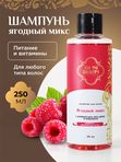 Go to Beauty Шампунь для волос Ягодный микс 250 мл