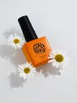 Top Coat Swanky Pro
