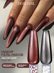 Набор гель лаков кошачий глаз шелковая 2шт/по 10мл
