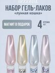 Гель лак для ногтей кошачий глаз набор "Селена", 4шт
