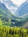 📍Ала-Арча
