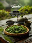 Тоник для лица увлажняющий Shade