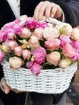 Basket With Bombastic Rose