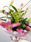 Pink lily